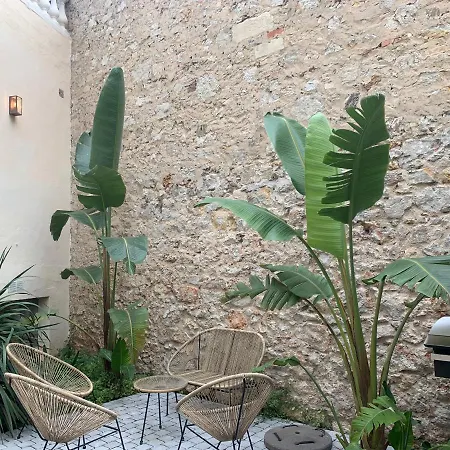 Les Fougeres Festival Jardin Garage Cannes
